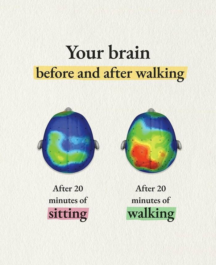 Brain activity comparison before and after walking versus sitting, highlighting key psychology facts about physical movement effects.