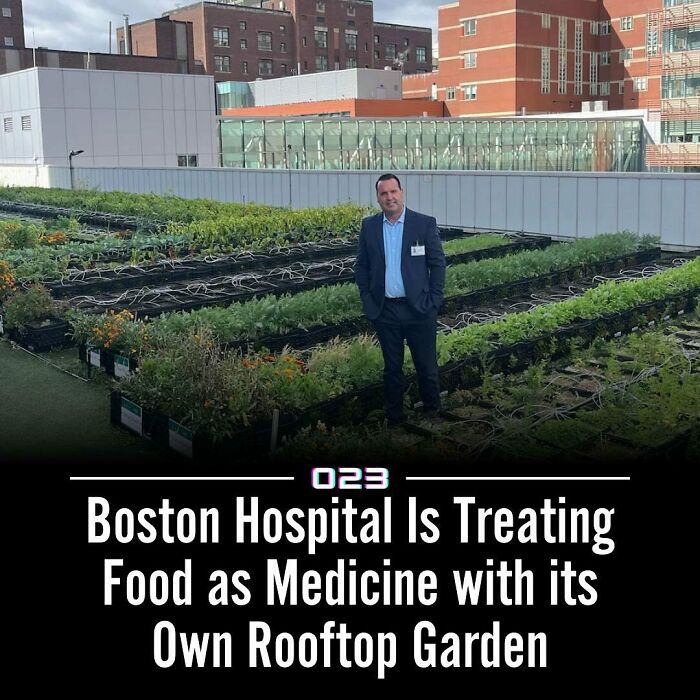 Man in suit standing in rooftop garden at Boston hospital promoting positivity and wholesome facts through food as medicine initiative