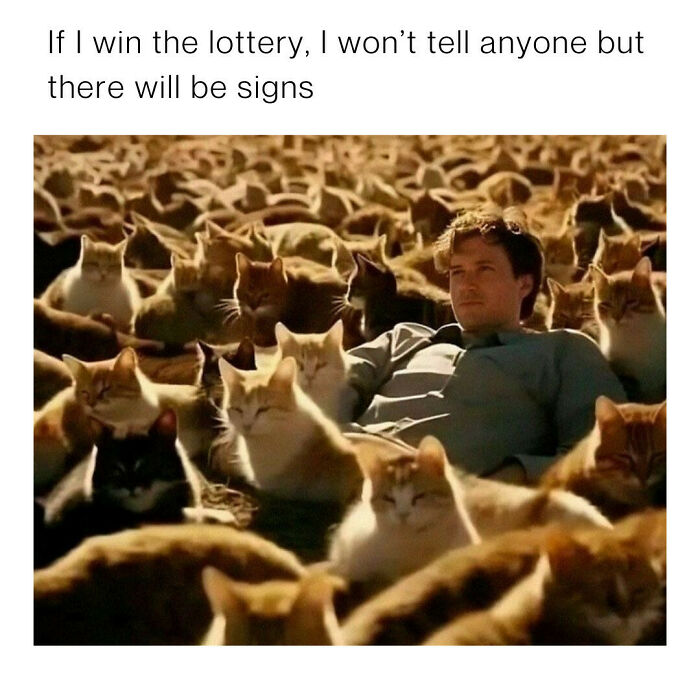 Man lying among many cats, surrounded by cute and chaotic cat content meme about winning the lottery signs.