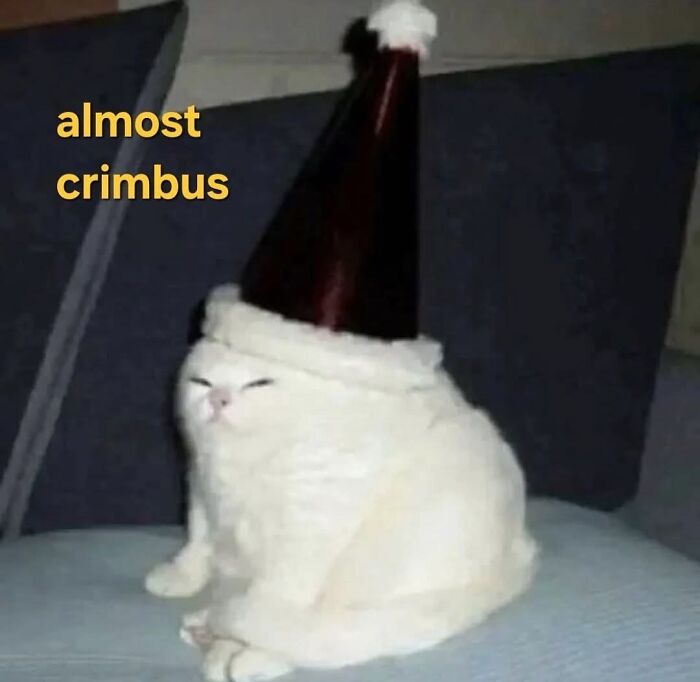 White cat wearing a tall Santa hat with text almost crimbus, a funny unhinged meme style from grapejuiceboys.
