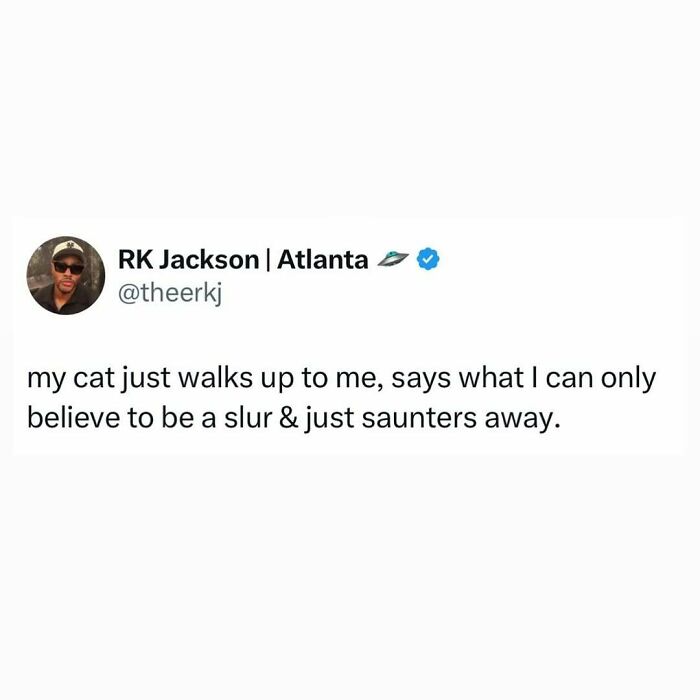 Tweet about a cat acting weird and walking away after saying something that sounds like a slur, showcasing cats being weird little guys.