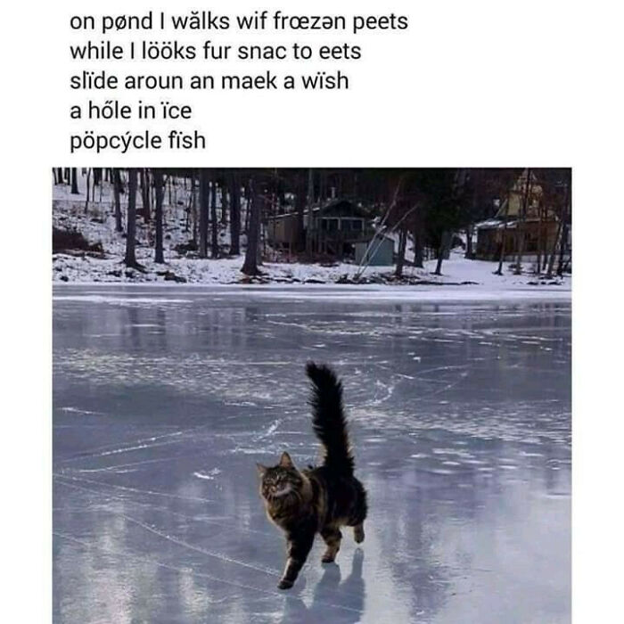 Cat walking on frozen pond ice with trees and houses in the background, cute and chaotic cat content meme.