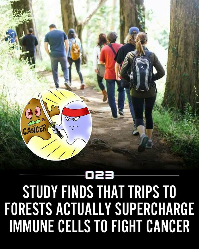 Group hiking through a forest path illustrating positivity recommended with immune cells fighting cancer concept.