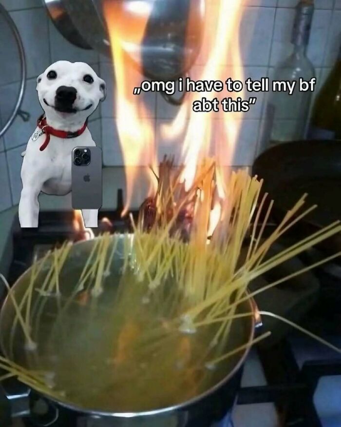 Dog holding a phone takes a selfie next to boiling spaghetti causing a kitchen fire, funny unhinged meme style.