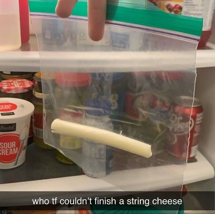 Single piece of string cheese in a plastic bag inside a fridge, showcasing a humorous fridge moment from dude fridges.