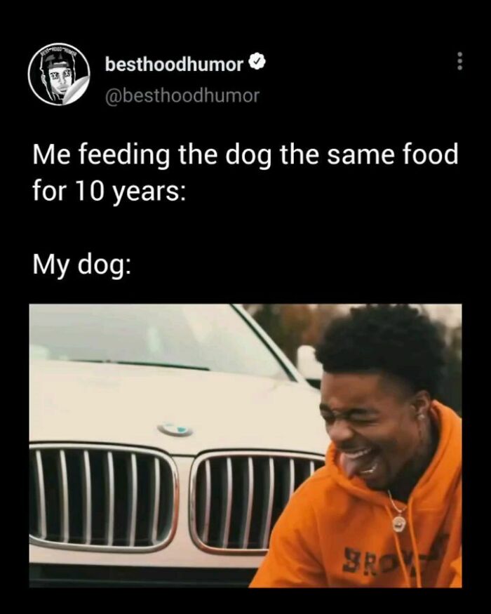 Meme showing a man laughing in front of a car, illustrating a funny reaction to feeding dog the same food for years.