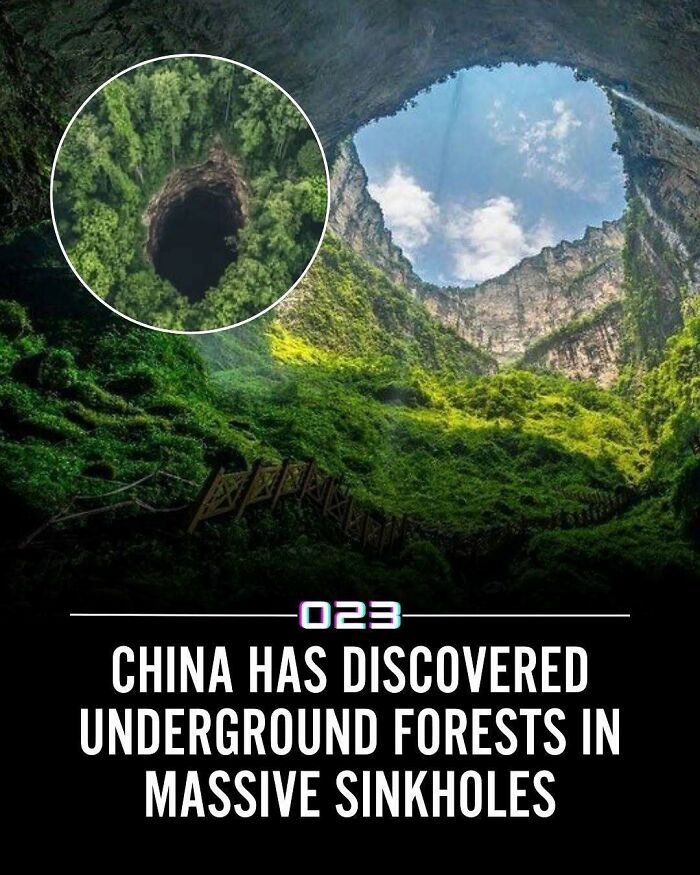 Underground forests thriving inside massive sinkholes in China, showcasing nature's positivity in hidden spaces.