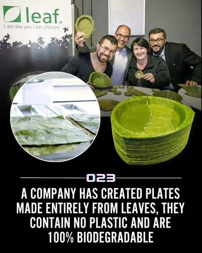 Group of people showcasing biodegradable plates made from leaves, promoting positivity and eco-friendly wholesome facts.