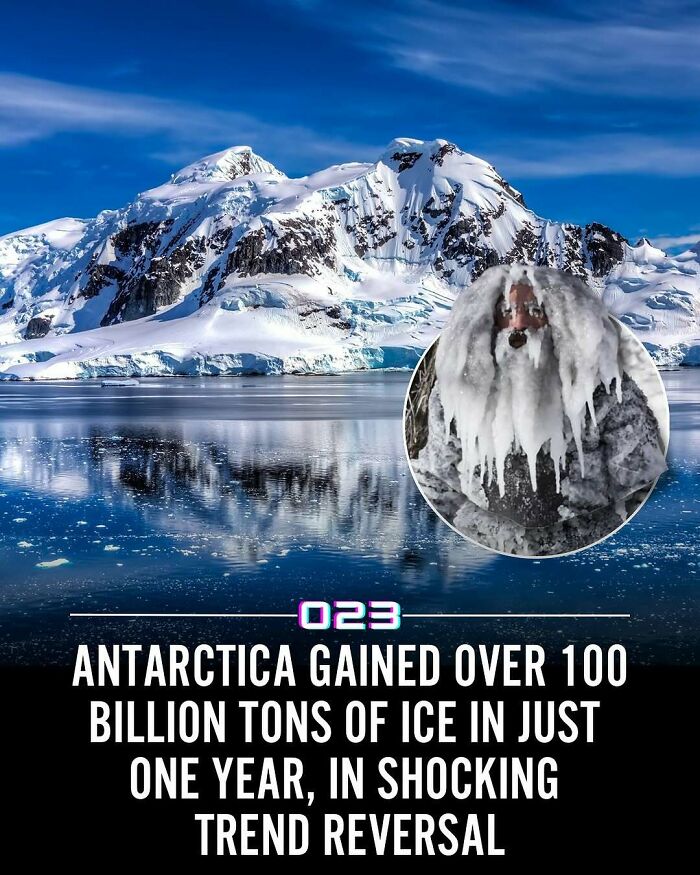 Snow-covered Antarctica mountains reflecting on water, illustrating a shocking ice gain trend reversal in polar climate positivity.