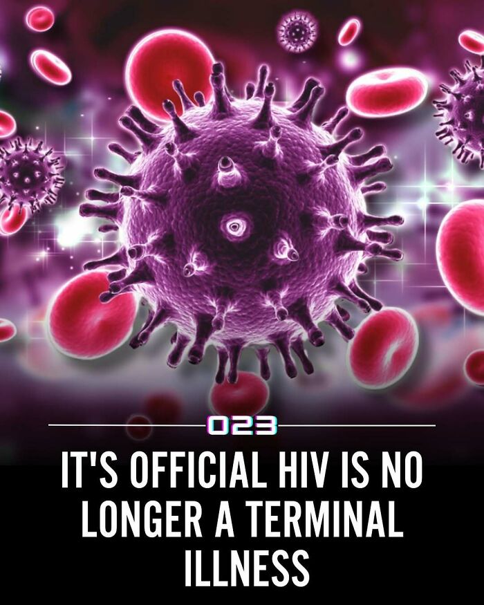 Illustration of HIV virus and red blood cells highlighting positivity recommended facts about health and wellness.