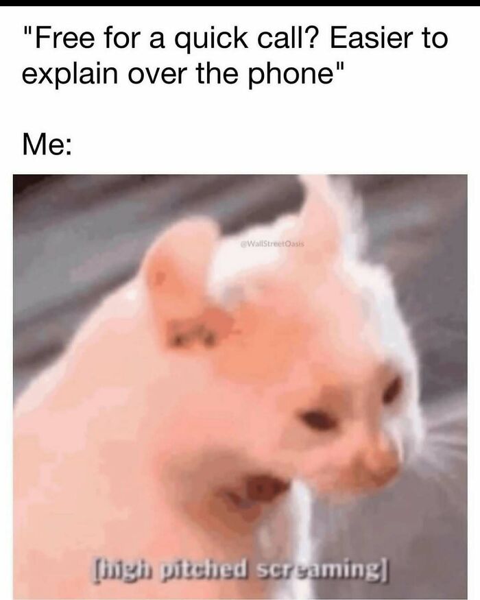 Cat reacting with high-pitched screaming, illustrating a humorous meme to help handle reality with humor.