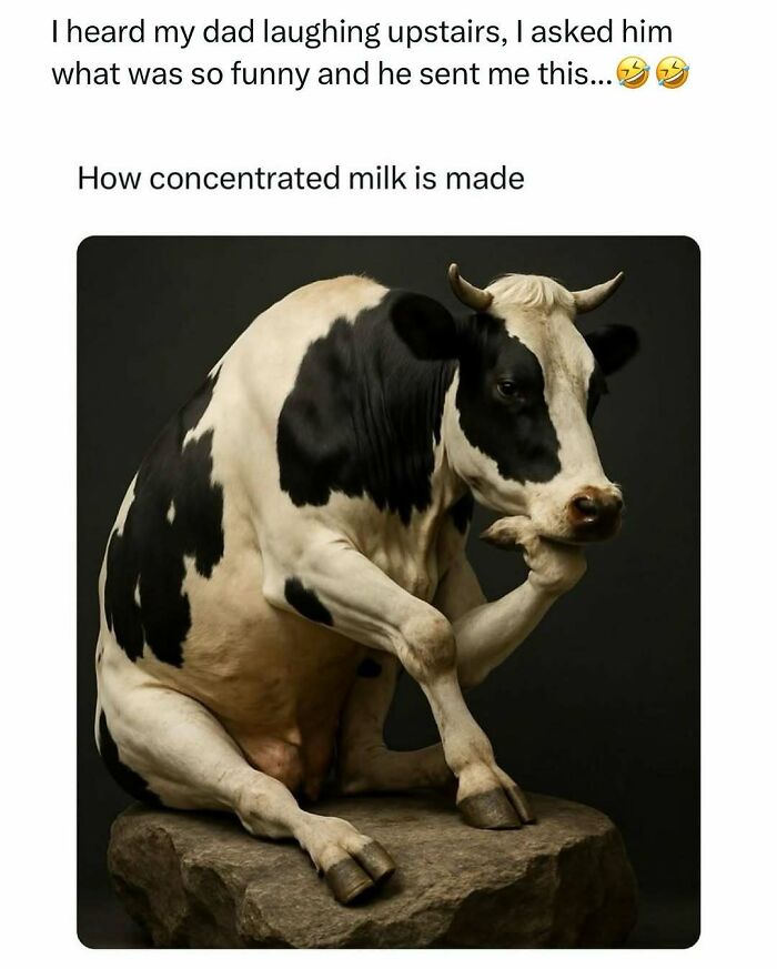 Cow sitting like a human, illustrating a funny dad joke about how concentrated milk is made from this dad jokes account.