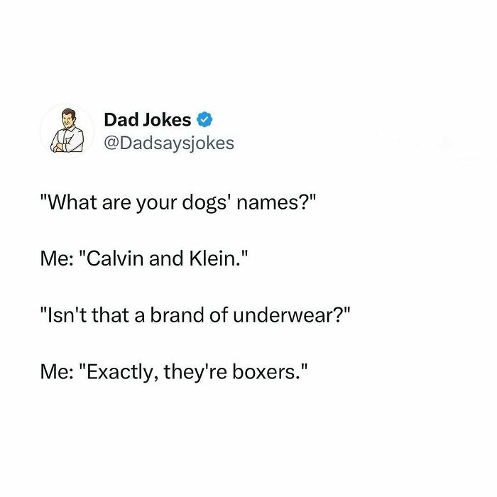 Dad joke tweet about dogs named Calvin and Klein with a pun on underwear brand and boxer dogs.