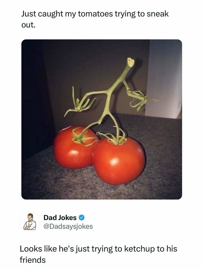 Two tomatoes on a counter with a vine that looks like a walking figure in a funny dad joke about ketchup and friends.