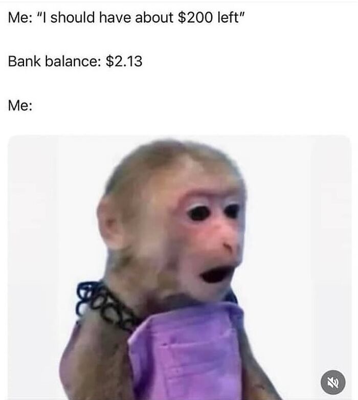 Funny meme showing a shocked monkey face reacting to an unexpectedly low bank balance, highlighting humor in handling reality.
