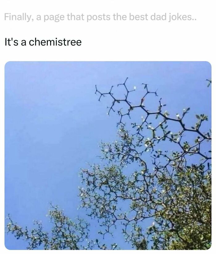 Branching tree with small leaves under clear blue sky illustrating a funny dad joke about a chemistree.
