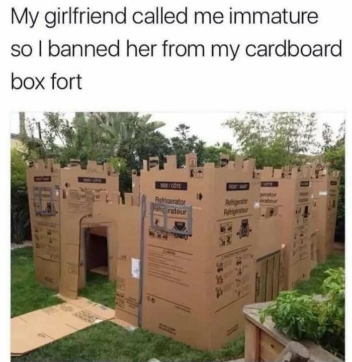Humorous meme showing a cardboard box fort built outdoors to handle reality with humor.