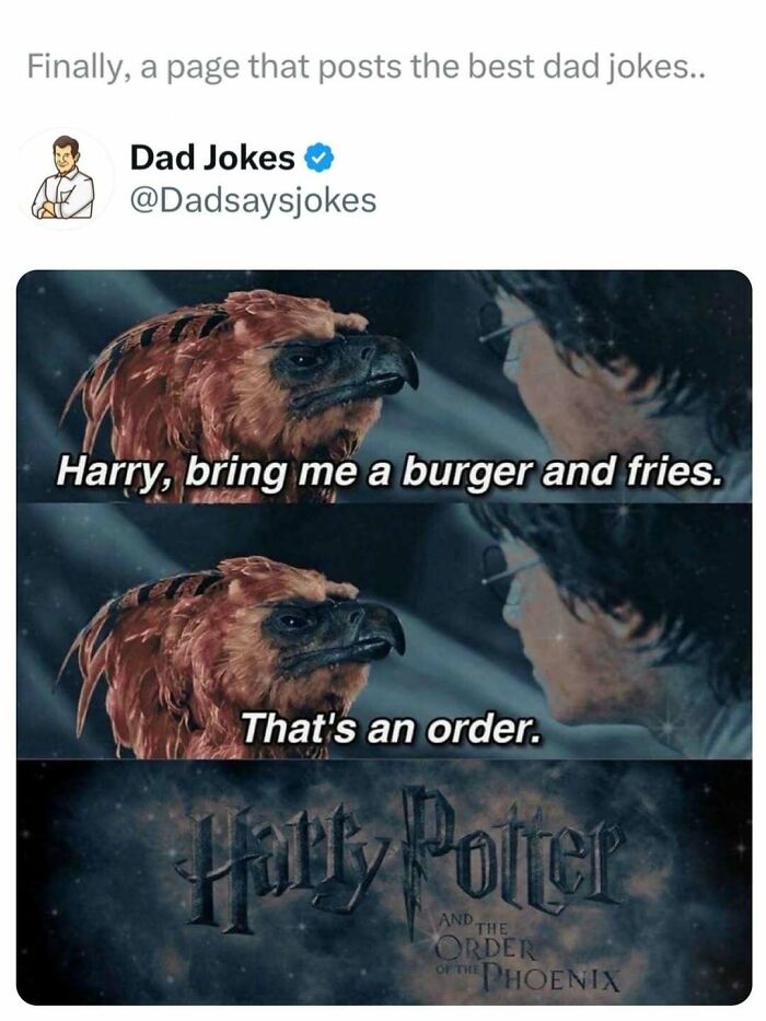 Harry Potter meme with dad jokes caption telling Harry to bring a burger and fries, referencing dad jokes humor.