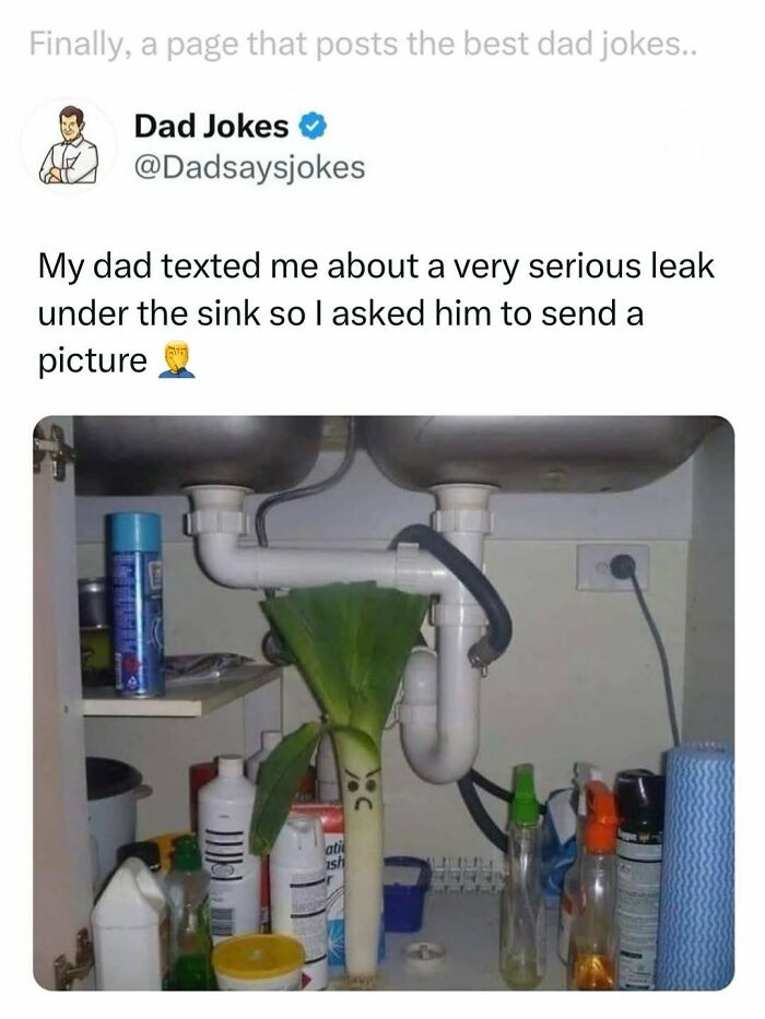 Dad joke post showing a pun with a leek under the sink, part of funniest dad jokes from a dedicated account.