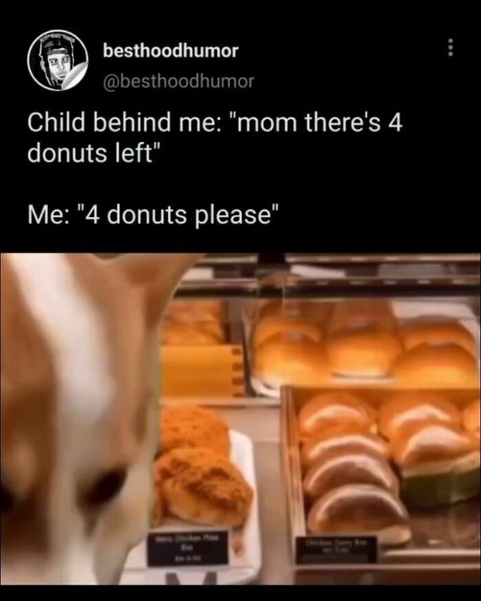 Funny meme showing a dog looking at donuts with a humorous caption about asking for four donuts.