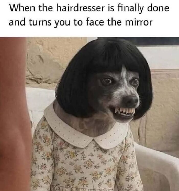 Dog with a wig and floral dress making a funny face, part of memes to handle reality with humor.