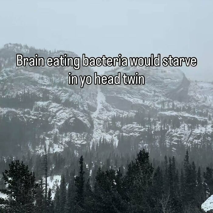Humorous meme text about brain-eating bacteria over a snowy mountain scene from Know Your Meme collection.