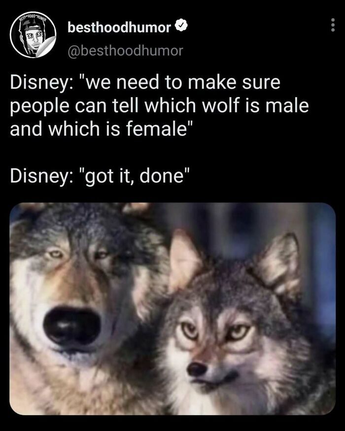 Meme showing two wolves with exaggerated features, highlighting funny and random humor from popular meme collections.