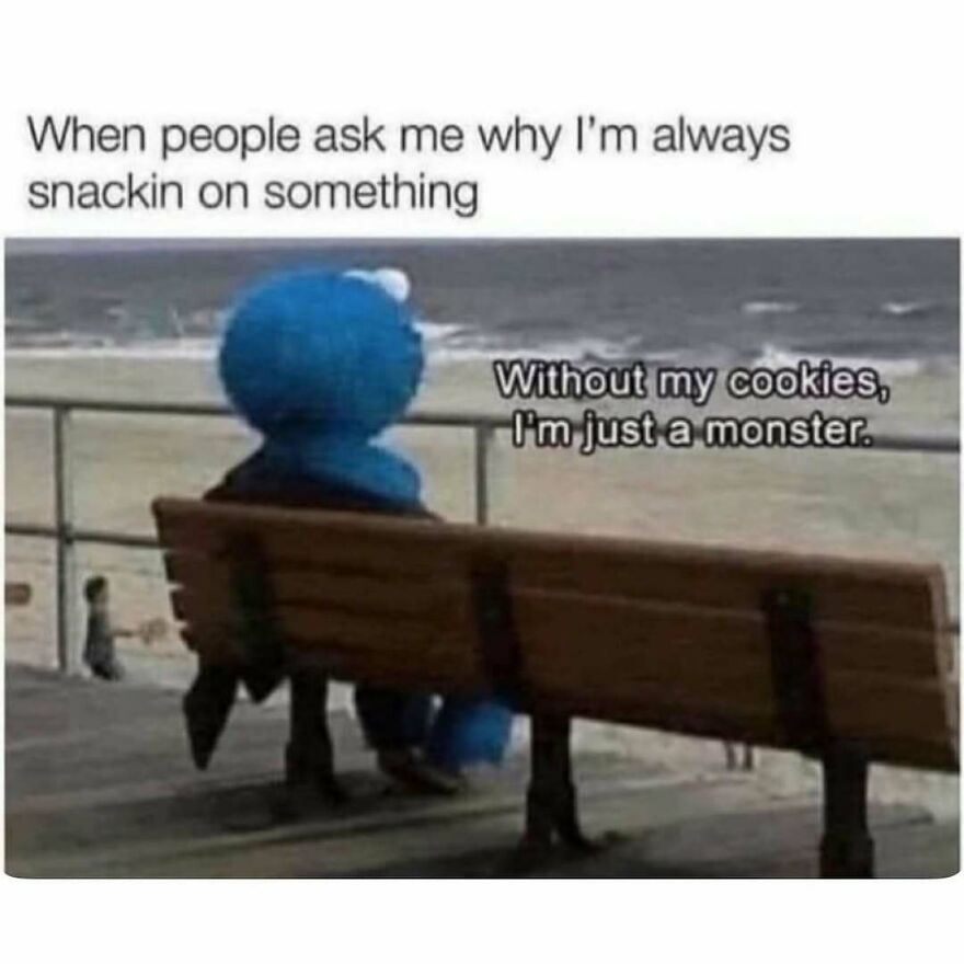 Person in a Cookie Monster costume sitting alone on a bench at the beach with a meme about snacking and therapist humor.