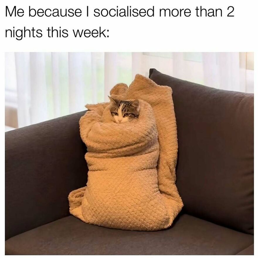 Cat wrapped in a blanket on a couch, showing exhaustion after socializing, perfect for therapist memes and mental health humor.