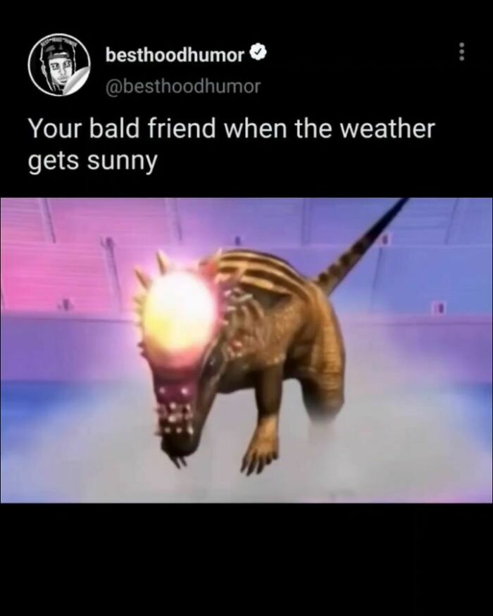 Meme showing a glowing dinosaur head with caption about a bald friend when the weather gets sunny, funny memes.