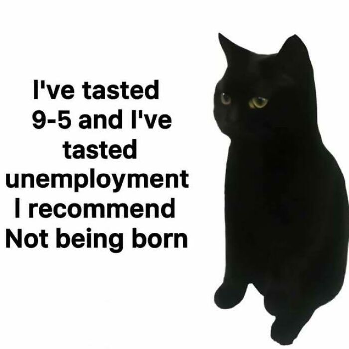 Black cat meme with text about 9-5 job and unemployment, reflecting dark humor in popular Know Your Meme content.
