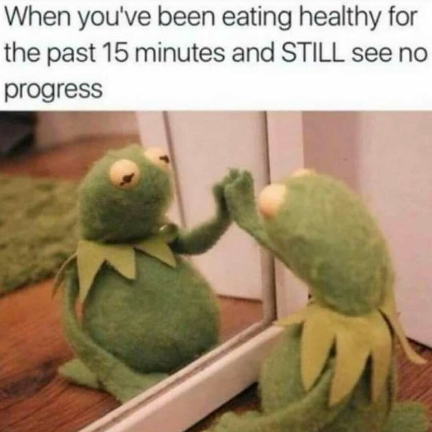 Kermit the Frog looking at himself in the mirror with a caption about eating healthy and no progress meme related to therapist humor.