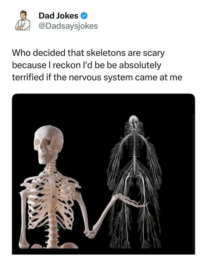Skeleton and nervous system funny dad joke post from a popular account dedicated to the funniest dad jokes.
