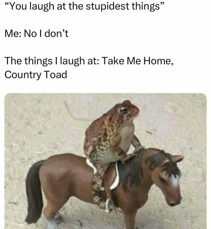 Funny meme featuring a toad riding a toy horse, illustrating humor to handle reality with funny memes.