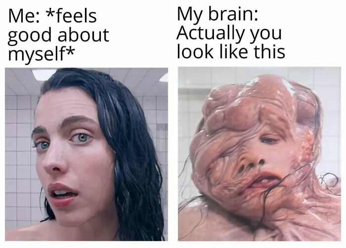 Side-by-side meme showing a woman feeling good and a distorted face representing how the brain distorts reality with humor.