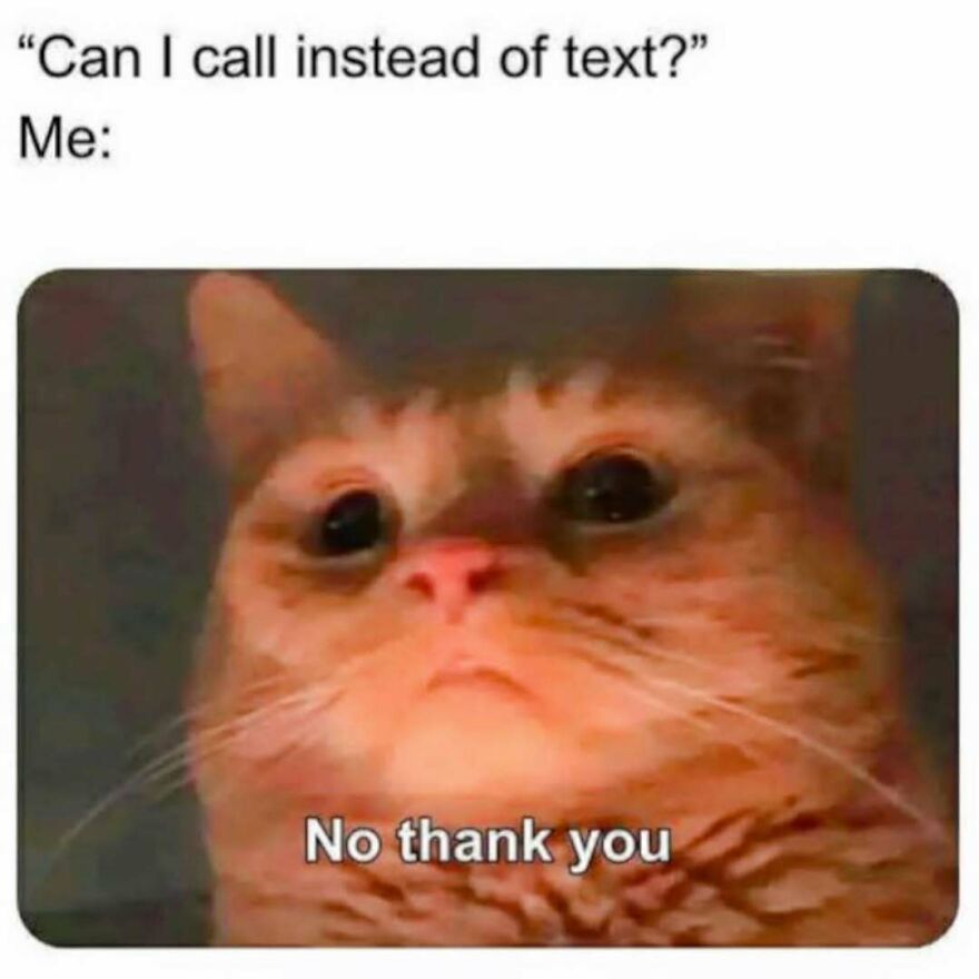 Close-up of a cat with text No thank you, illustrating a meme from My Therapist Says collection about communication preferences.