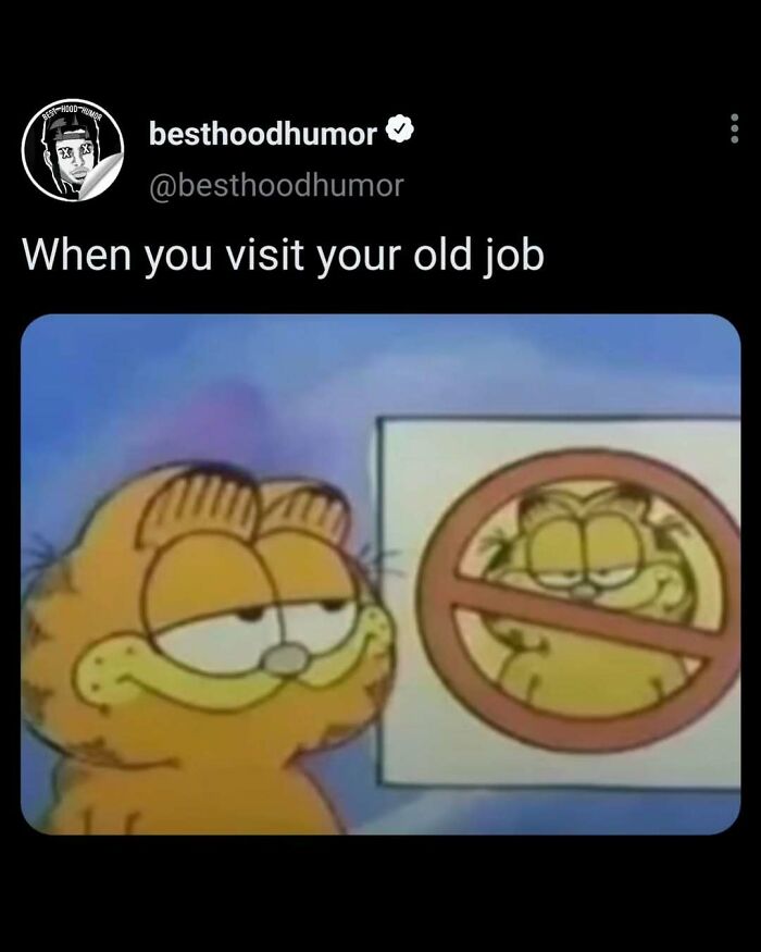 Meme showing Garfield smirking next to a sign with a crossed-out Garfield, highlighting funny memes theme.
