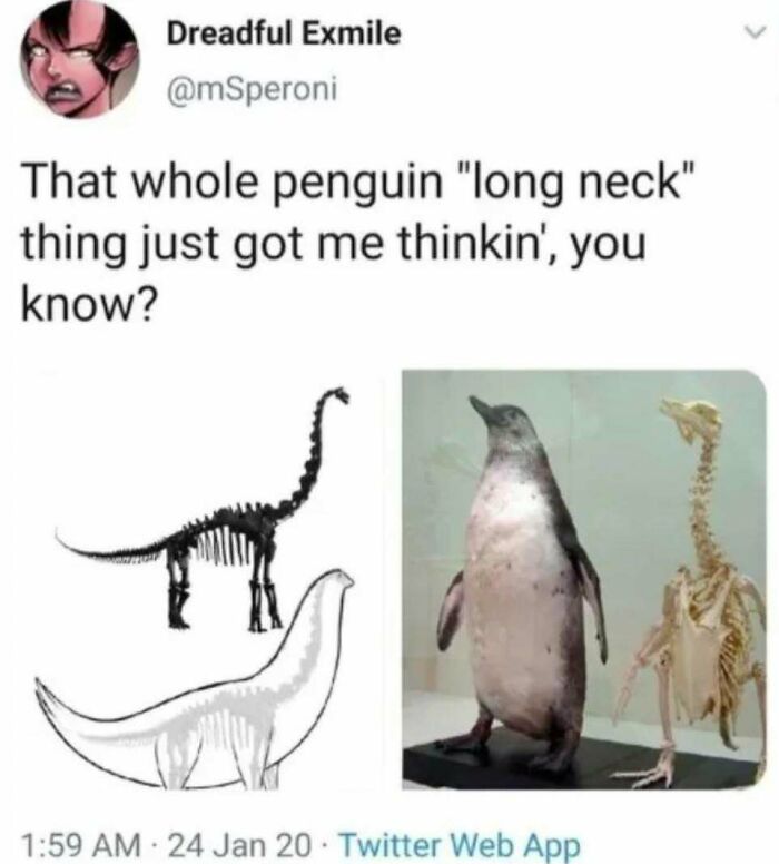 Funny penguin long neck meme showing a penguin and its skeleton compared to a dinosaur skeleton.