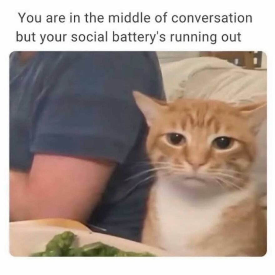 Cat looking tired next to person with text about social battery running out, relating to therapist and mental health memes.