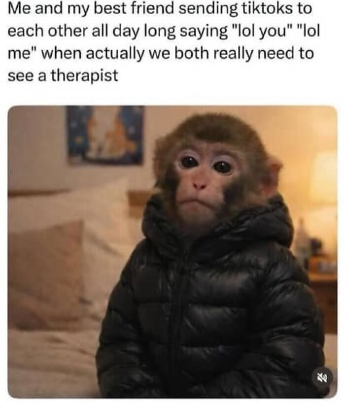 Meme with monkey in a jacket captioned about sending TikToks all day, reflecting humor to handle reality.