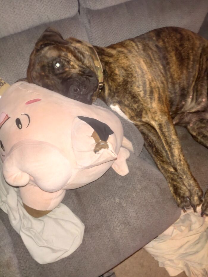 Kiara Caught A Clefairy