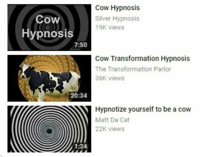 Thumbnails of animal hypnosis videos featuring cows with spirals and swirling patterns to relax and entertain viewers.