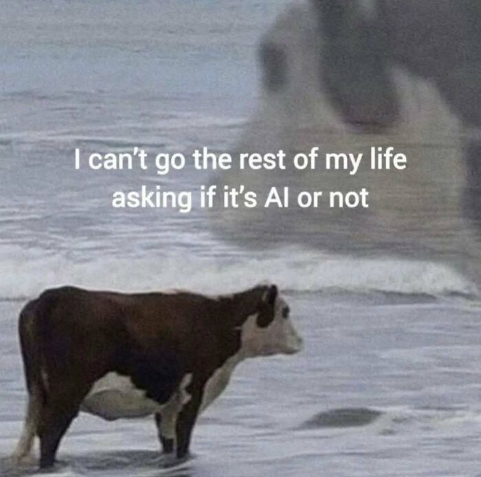 Cow standing in water with a meme overlay text about AI, part of a collection of popular animal memes for lighthearted relief.