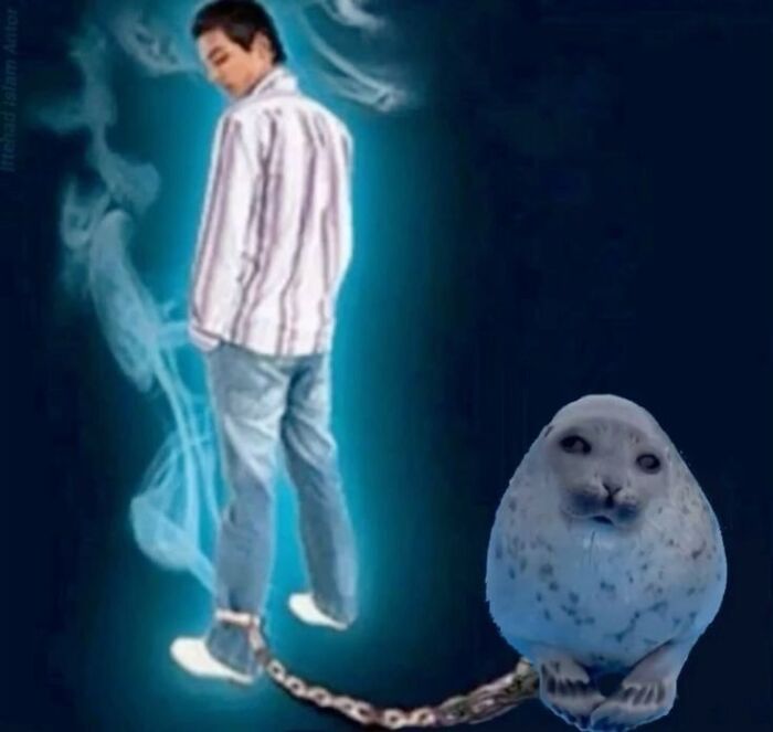 Funny-Animals-Posts-Petsruletheuniverse