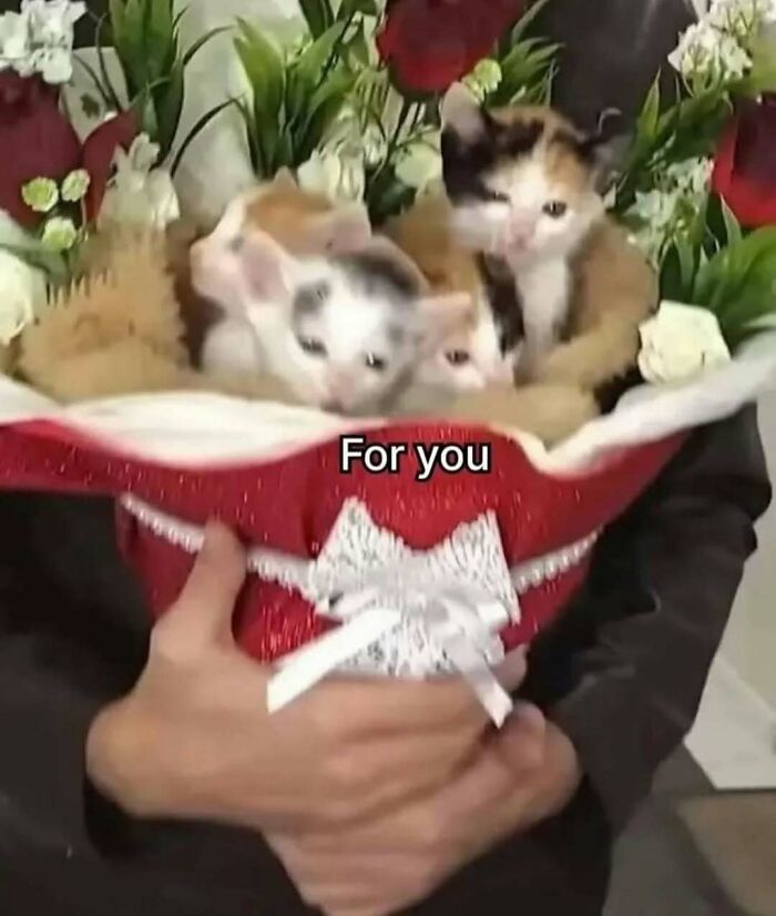 Three small kittens wrapped in a festive bouquet with flowers, a heart-shaped red wrapper, and the text for you.