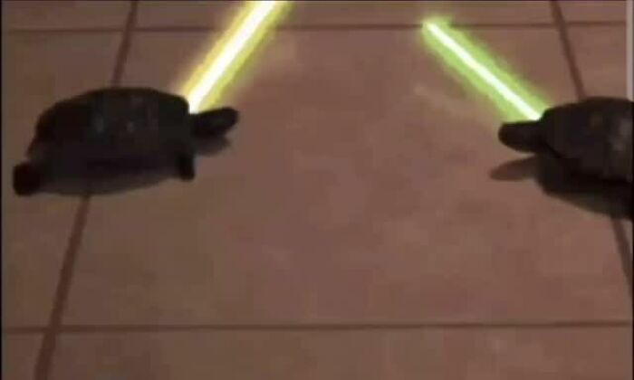Two turtles facing each other on tile floor with glowing yellow sticks, creating a humorous animal meme scene.