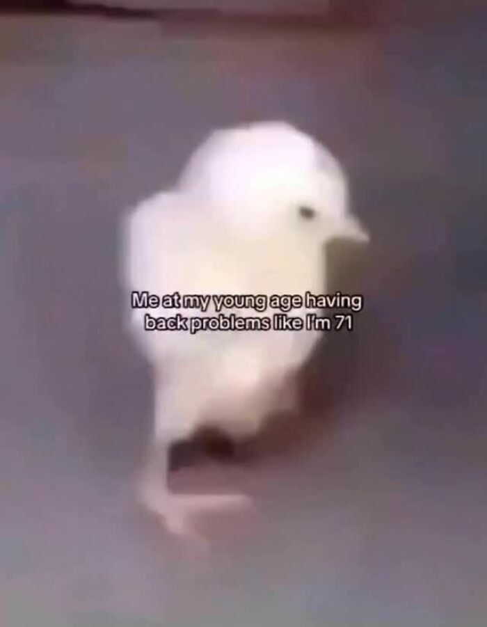 Blurry white chick standing on one leg with caption about young age back problems in an animal meme.