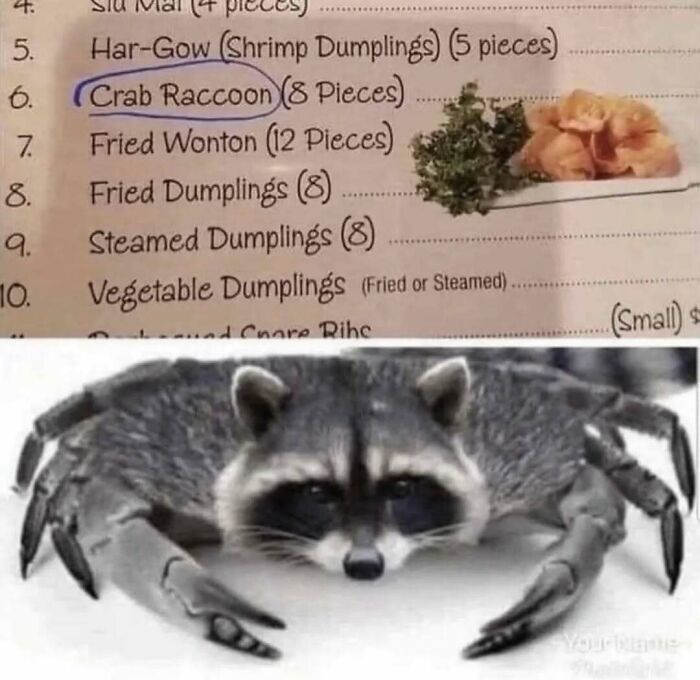 Menu item circled as crab raccoon with image of a raccoon’s face and crab claws, a funny animal meme.