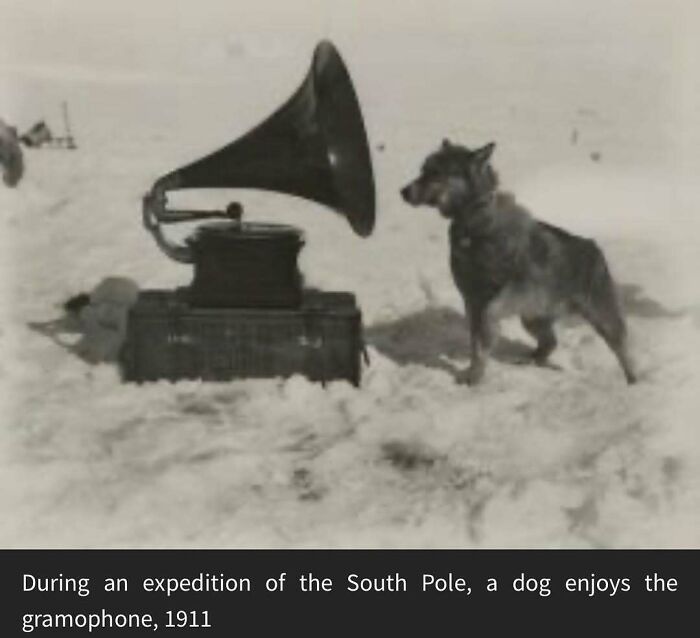 Dog listening to a gramophone outdoors in the snow, a vintage animal meme capturing a lighthearted moment from 1911.