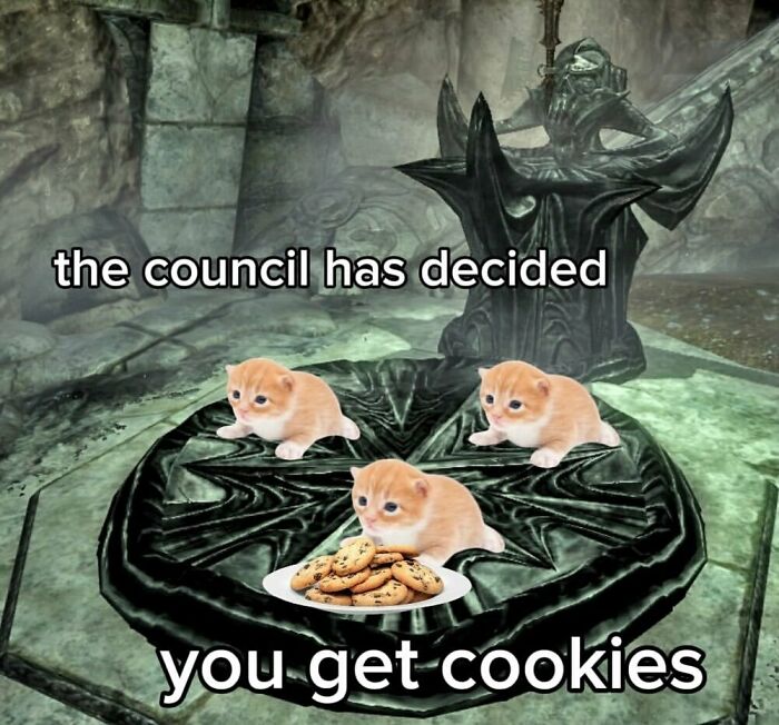 Cute animal meme with kittens around cookies, designed to help people forget heavy thoughts and lighten the mood.